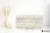 40cf10cdb288be404d6b880dd82b2087