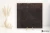 8a005e009c5dfd5bd37aef7b26a80f3c