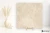ad25851d37a35c4dcc66b2b6dc17f9bd