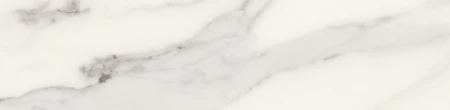 491b337c210e69bf77fdb45381646803