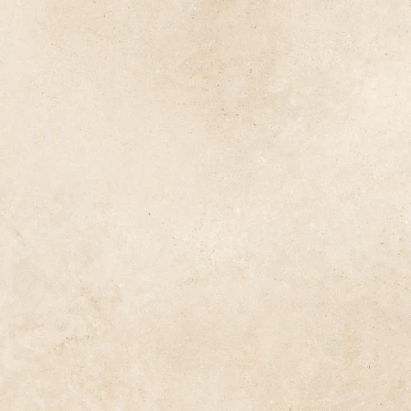 cf6679888a4f4bb9dfcd540eb2c2a2a8