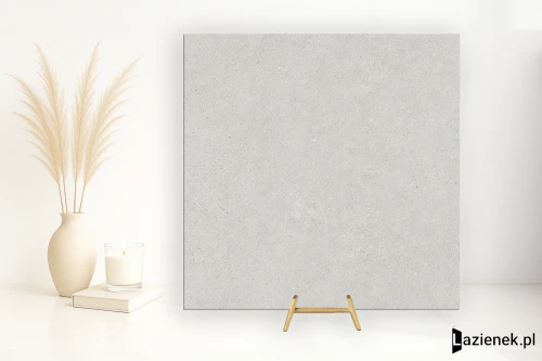 Przejdź do produktu Cifre Borneo Pearl matowa 60x60 cm gr. 9 mm - płytka rektyfikowana / 300000000000059713