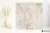 e49344ca2eb1555cb665d0b89490beed