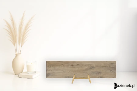 6c354fb05e02a2e4afd0d813c1407b35