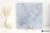 6b9502bac9827b4b1e767f6bc7c7dbf7