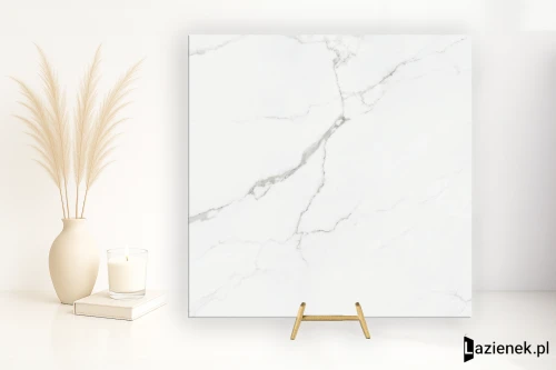 Przejdź do produktu Cifre Statuario Statuario matowa 60x60 cm gr. 9 mm - płytka nierektyfikowana / 300000000000037205