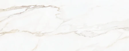 7c23c81d80824d48a060e4495a263aaa
