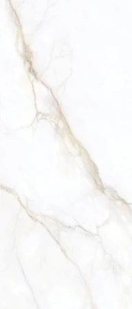 22a5dca90c10ae1aa6a32edb760e0ec0