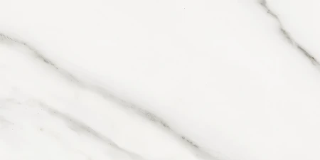 cc561eea8ef59a43869948a4c3c10719