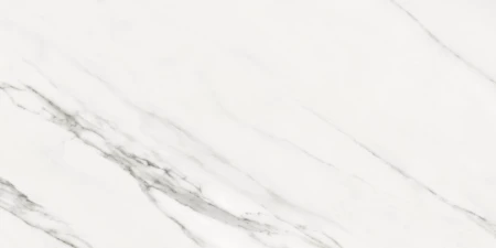 d21e8e1d795e044ca9de931e3d31cb27