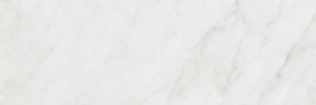 a1566cba632df65d8e54a2159b637f23