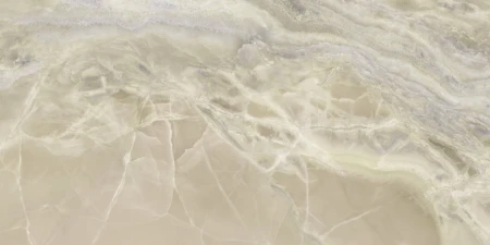 3c22aa97bea6498c9007923d2c73ea61