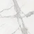 f81919fc61c4bc63997b1304e1b17990