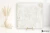 La Fabbrica Ava Artile Ivory 60x60 - płytka / (L)156013 - płytka imitująca kamień