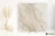 La Fabbrica Ava Bolgheri Stone Beige 60x60 - płytka / (L)196022 - płytka imitująca marmur