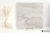La Fabbrica Ava Bolgheri Stone 60x60 - płytka / (L)196024 - płytka imitująca marmur