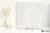 La Fabbrica Ava Imperial Trevi 120x120 - płytka / (L)155042 - płytka imitująca kamień