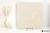 La Fabbrica Ava Noble Stone Beige 100x100 - płytka / (L)199073 - płytka imitująca kamień