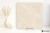 La Fabbrica Ava Noble Stone Beige 120x120 - płytka / (L)199093 - płytka imitująca kamień
