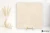 La Fabbrica Ava Noble Stone Beige 60x60 - płytka / (L)199053 - płytka imitująca kamień