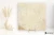 La Fabbrica Ava Royal Stone Gold 60x60 - płytka / (L)122007 - płytka imitująca kamień