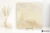 La Fabbrica Ava Royal Stone Gold 100x100 - płytka / (L)122013 - płytka imitująca kamień