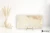 La Fabbrica Ava Royal Stone Gold 60x120 - płytka / (L)122001 - płytka imitująca kamień