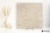 La Fabbrica Ava Skyline Beige 120x120 - płytka / (L)82064 - płytka imitująca marmur