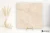 La Fabbrica Ava Velaris Beige 120x120 - płytka / (L)263311 - płytka imitująca kamień