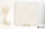 La Fabbrica Ava Velaris Bianco 120x120 - płytka / (L)263312 - płytka imitująca kamień