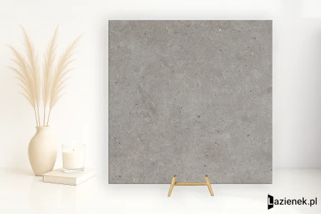 Mirage Elysian Gris Catalan strukturalna 60x60 - płytka imitująca kamień