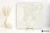 Mirage Elysian Travertini Travertino Pearly Cross naturalna 60x60 - płytka imitująca kamień