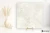 Mirage Elysian Travertini Travertino Pearly Cross strukturalna 120x120 - płytka imitująca kamień