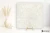 Mirage Elysian Travertini Travertino Pearly Cross strukturalna 60x60 - płytka imitująca kamień