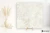 Mirage Elysian Travertini Travertino Pearly Cross strukturalna 80x80 - płytka imitująca kamień