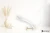 Mirage Jewels Bianco Statuario wysoki 60x120 - płytka imitująca marmur