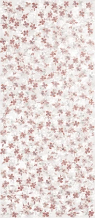 791c91df42ee7fb353cbcf22a7b3e7ea
