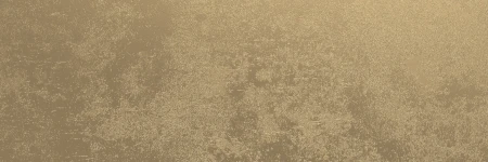 Mirage Reflet Midi lustrzana postarzana 20x60 - płytka nierektyfikowana - płytka drewnopodobna