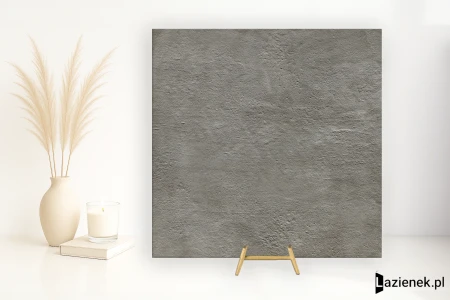 Imola Creative Concrete G na zewnątrz 60x60 - płytka imitująca kamień