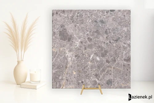 Przejdź do produktu Grespania Artic Gris matowa 30x30 cm gr. 10 mm - płytka rektyfikowana / 41RC130