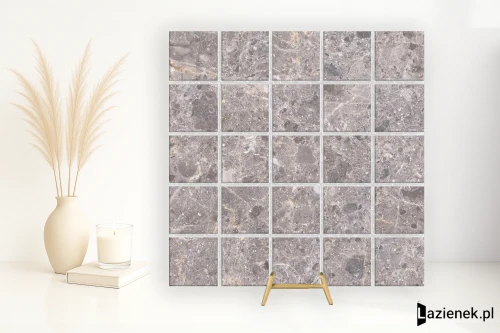 Przejdź do produktu Grespania Artic Gris matowa 30x30 cm gr. 10 mm - płytka nierektyfikowana / 41RC30F
