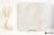 Grespania Arles Blanco 120x120 - płytka nierektyfikowana - płytka imitująca kamień