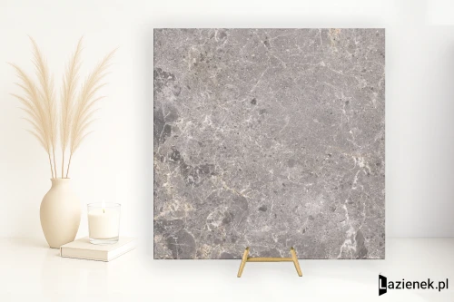 Przejdź do produktu Grespania Artic Gris błyszcząca 59x59 cm gr. 10 mm - płytka rektyfikowana / 52RC35P