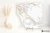 aa314a951715dcb884959dabdb013cf5