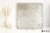 366ca9e84b1c565cad9f742f303f1d54