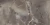 506dd43f97031e25c705eb8d2338386d