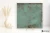 Caesar Alchemy Tc.Mint 120x120 - płytka nierektyfikowana - płytka imitująca marmur