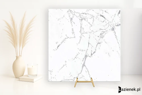 Przejdź do produktu Caesar Anima Statuario Venato matowa 120x120 cm gr. 9 mm - płytka rektyfikowana / AHUN