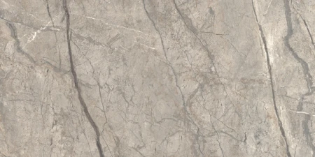 Caesar Anima Futura Amazing Silver 60x120 - płytka imitująca marmur