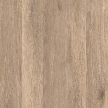 Caesar Cocoon Ease 60x60 - płytka drewnopodobna